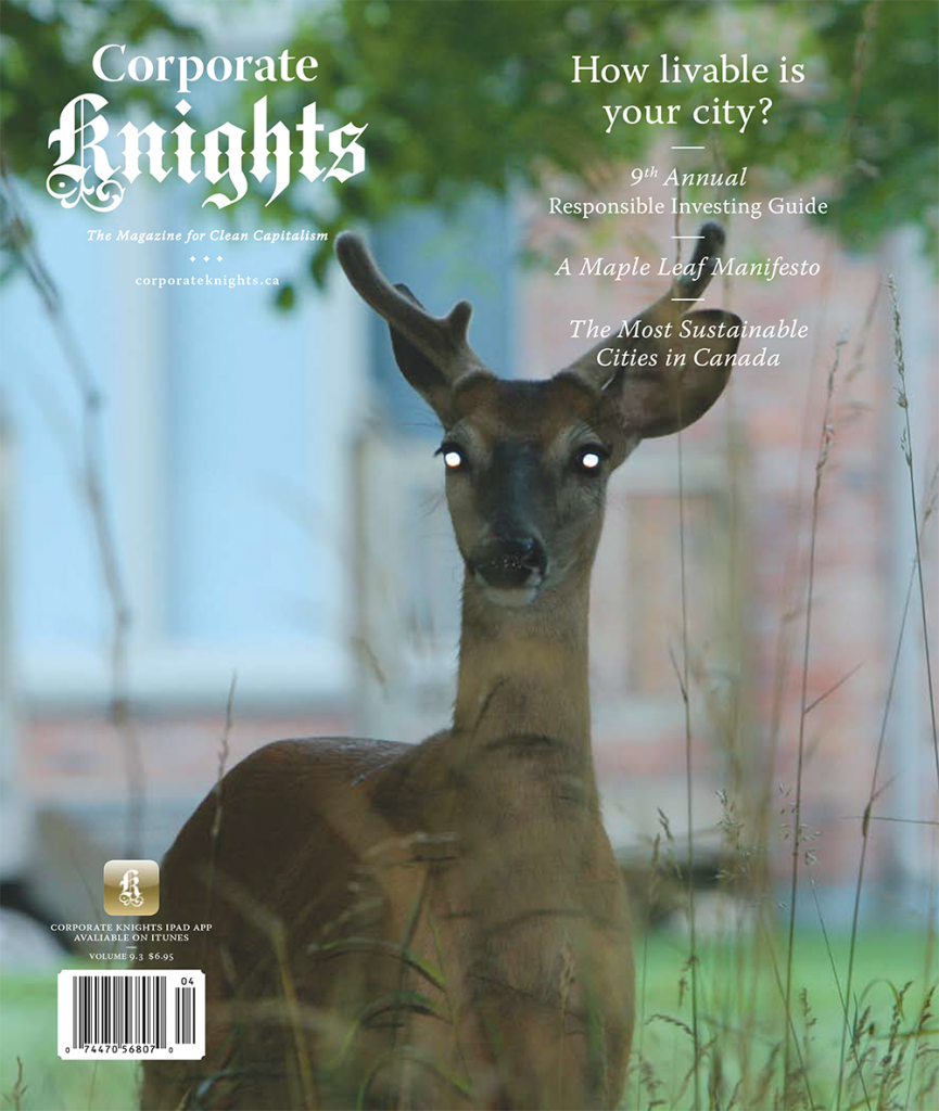 #35 (Winter 2011 Sustainable Cities Issue) *Digital Copy*
