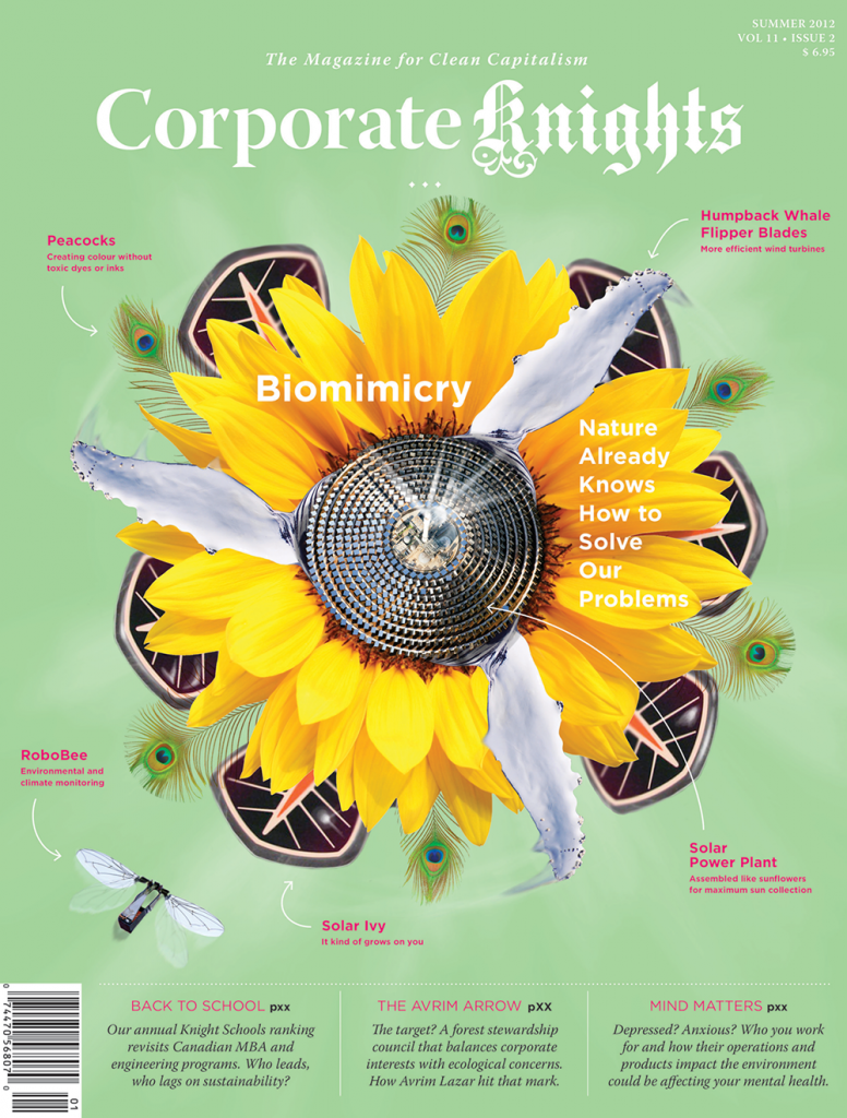 #41 (Summer 2012 Biomimicry Issue) *Digital Copy*